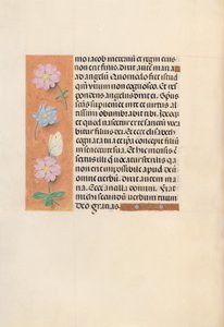 Izabella katolikus királyné, spanyol királynő órái: Fol. 94v, c. 1500. alkotó: Master of the First Prayerbook of Maximillian