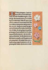 Izabella katolikus királyné, spanyol királynő órái: Fol. 95r, c. 1500. alkotó: Master of the First Prayerbook of Maximillian