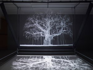 Albion, 2017 (projektor, médialejátszó, állványzat, átlátszó fólia, fa, festék, tükör, feszítő kellékek) alkotó: Mat Collishaw