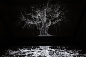 Albion, 2017 (projektor, médialejátszó, állványzat, átlátszó fólia, fa, festék, tükör, feszítő kellékek) alkotó: Mat Collishaw
