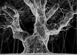 Albion, 2017 (projektor, médialejátszó, állványzat, átlátszó fólia, fa, festék, tükör, feszítő kellékek) alkotó: Mat Collishaw