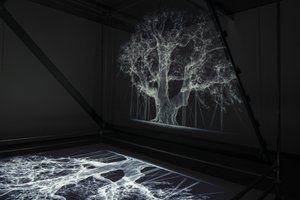 Albion, 2017 (projektor, médialejátszó, állványzat, átlátszó fólia, fa, festék, tükör, feszítő kellékek) alkotó: Mat Collishaw