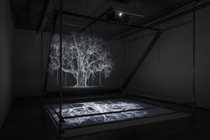 Albion, 2017 (projektor, médialejátszó, állványzat, átlátszó fólia, fa, festék, tükör, feszítő kellékek) alkotó: Mat Collishaw