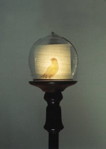 Antik alkotó: Mat Collishaw