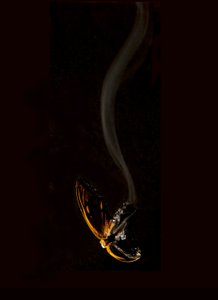 Égő pillangó 15, 2013 (Lambda print)