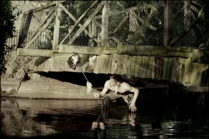 Tündérek elkapása 1 alkotó: Mat Collishaw