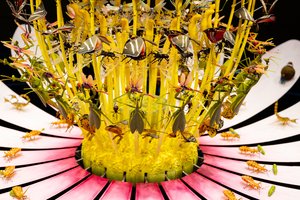 Equinox, 2021 (akril, elektromos áramkörök, hidraulika, lakk, motor, festék, újrahasznosított gyanta, acél) alkotó: Mat Collishaw