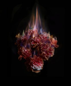 Fading Memories of the Sun, 2013 (C-típusú fénykép) alkotó: Mat Collishaw