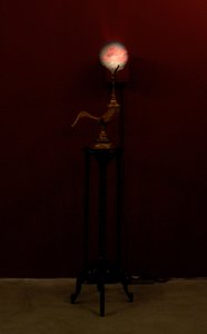 Kürtfúvó, 2002 (Üveg, víz, réz, koskürt, fa, videoprojektor és lejátszó) alkotó: Mat Collishaw