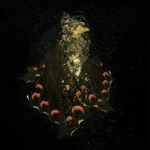Rovarölő szer, 2011. 28. (C-típusú fénykép) alkotó: Mat Collishaw