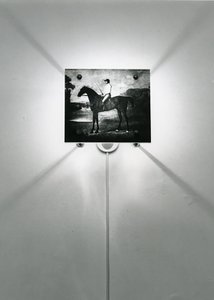 Stubbs lovak alkotó: Mat Collishaw