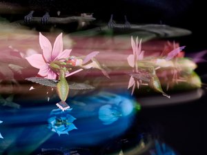 The Centrifugal Soul, 2016 (akril, alumínium, acél, LED fények, motor, elektronikus áramkörök, gyanta és festék) alkotó: Mat Collishaw