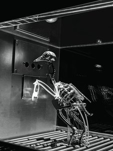 The Machine Zone, 2019 (acél, alumínium, szervomotorok) alkotó: Mat Collishaw