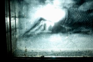 Giliszta, 2009 (fa, üveg, acél, projektor és lejátszó) alkotó: Mat Collishaw