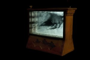 Giliszta, 2009 (fa, üveg, acél, projektor és lejátszó) alkotó: Mat Collishaw