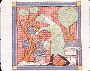 Fol.59r Szeptember: Az aratás