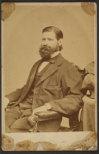 Thomas Davidson Jr. alkotó: Mathew B. Brady