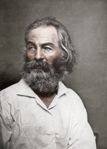 Walt Whitman amerikai költő, 1880-as évek.