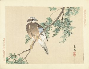Jay egy ágon alkotó: Matsumura Keibun
