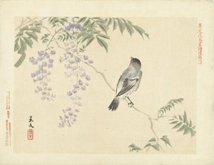 Madár a wisteria ágon Virág- és madárvázlatok Keibunból – harmadik rész (sorozat címe) Keibun kacho gafu kohen (sorozat címe a tárgyon)