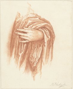 Egy bal kéz vizsgálata alkotó: Mattheus Verheyden