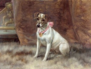 A rózsaszín íj, 1898
