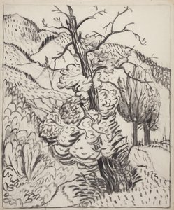 Fa a hegyoldalban, 1930 körül (ecset, tus és szén, törtfehér vattapapírra) alkotó: Maud Hunt Squire