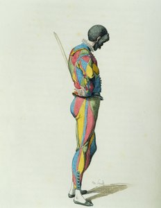 Harlekin 1858-ban, Maurice Sand (1823-1889) alkotó: Maurice Sand
