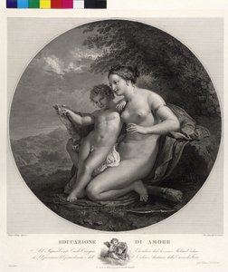 Ámor nevelése