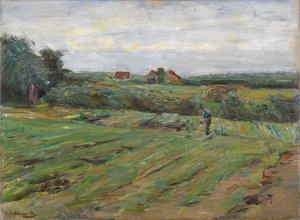 Aratómező alkotó: Max Liebermann