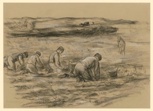 Krumpliföldművesek Zandvoortban alkotó: Max Liebermann