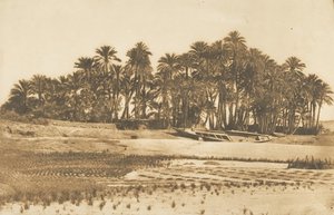 Kilátás az Elephantine-szigetre, Asszuánnal szemben, 1849-50. alkotó: Maxime Du Camp