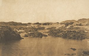 A kép a második szürkehályognál készült, 1850. március.