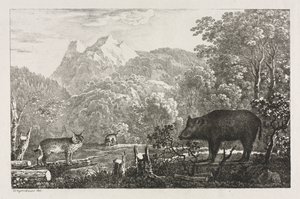 Wild Boar, Wildcat and Lynx   1308457   hu       hungarian Successfully Translated  Original: Standing Magus (recto); Sketch of Stable and Trees (verso) Translat: Standing Magus (recto); Sketch of Stable and Trees (verso) 1290828 hu hungarian Successfully  alkotó: Maximilian Josef Wagenbauer