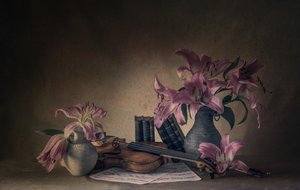Melankolikus liliomok és hegedű alkotó: May G
