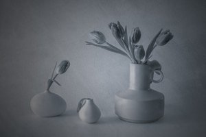 Moody csendélet: tulipánok alkotó: May G