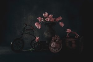 Hangulatos tulipánok – csendélet alkotó: May G