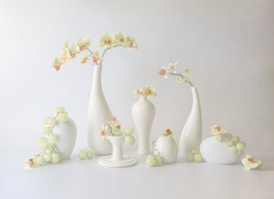 Nyugodt hangulatú orchidea-kompozíció alkotó: May G