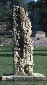 Copan Stela H, késői klasszikus időszak, i.sz. 730 körül