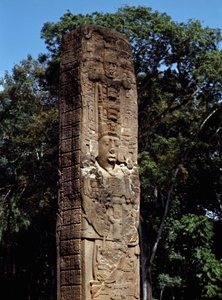 A nagy téren lévő E sztélé részlete alkotó: Mayan
