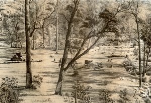 Szabad választó kunyhó, Ausztrália, 1879