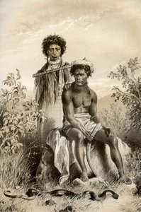 Maorik és szőnyegkígyó, Új-Zéland, 1879