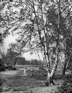 Putney Heath, London, 1926-1927 alkotó: McLeish