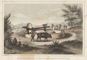Kínai rizs hántoló és durva őrlő készülék, 1855 alkotó: Meffert