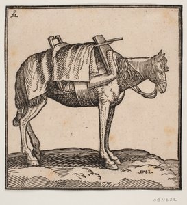Felnyergelt szállító ló alkotó: Melchior Lorck