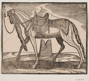 Elegáns nyerges ló, v. keretvonallal megkötve, profil v. a ló hasa alatt látható egy tönkrement
