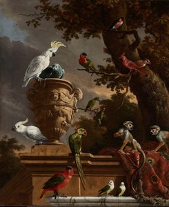 A Menagerie A Menagerie