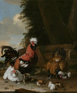 Bantam kakas tyúkokkal és csibékkel egy tanyán alkotó: Melchior de Hondecoeter