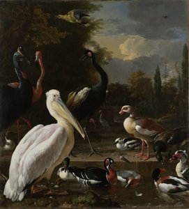 Pelikán és más madarak a medence közelében, „Az úszó toll” néven ismert, 1680 körül