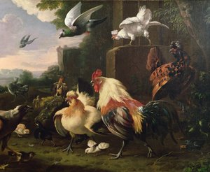 Kakas és más szárnyasok egy tájképben alkotó: Melchior de Hondecoeter